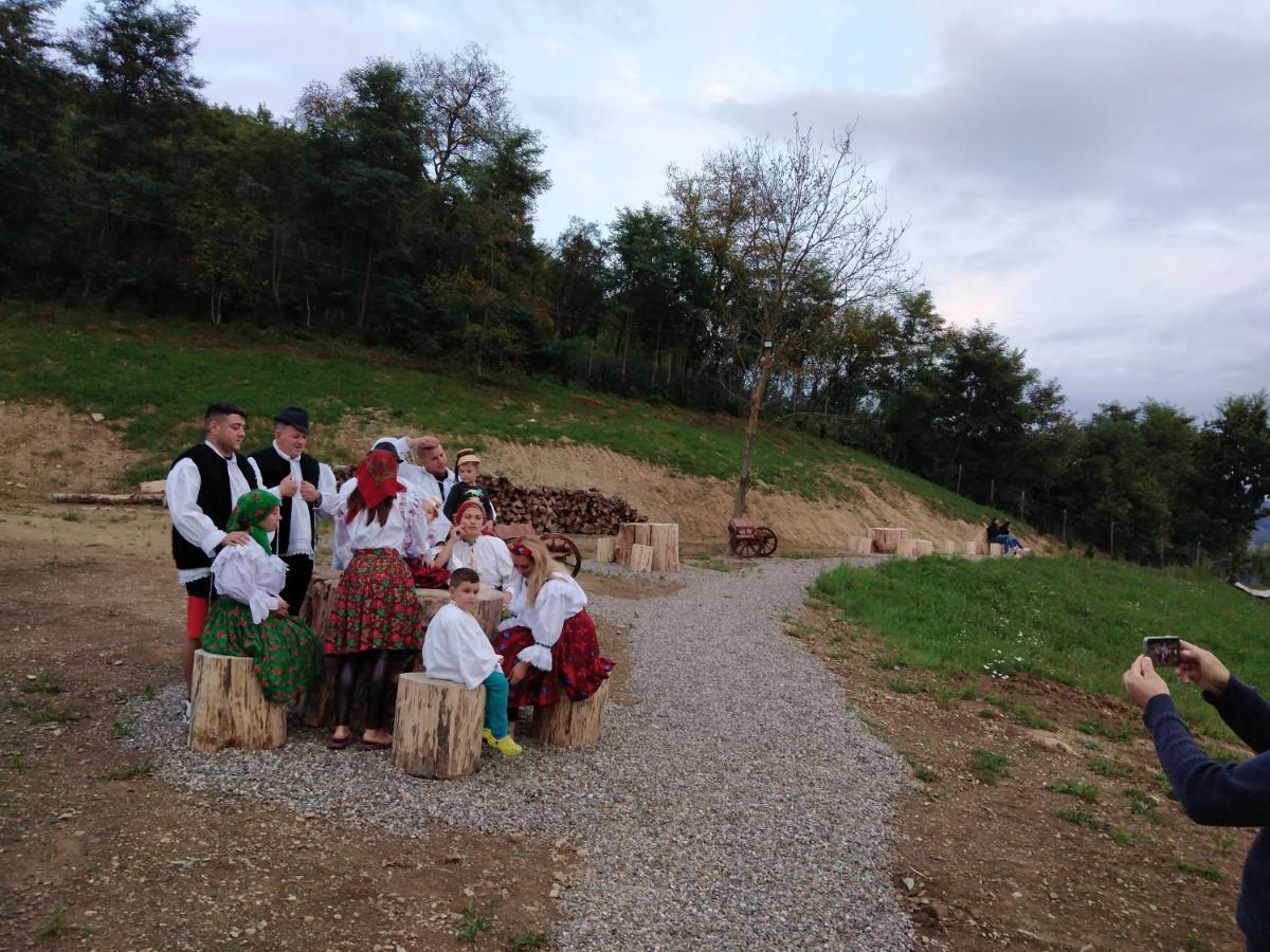 Pensiunea Valea Branzei Nanesti Bagian luar foto