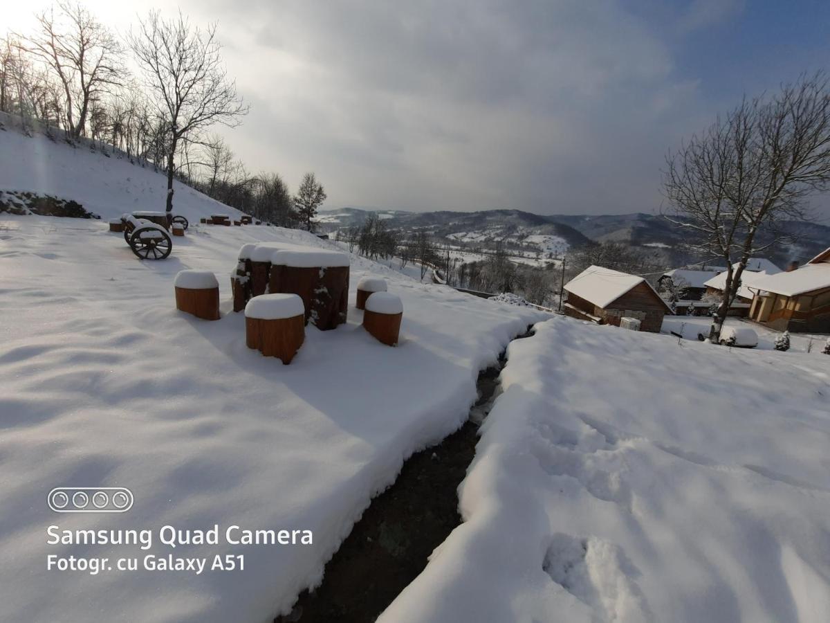 Pensiunea Valea Branzei Nanesti Bagian luar foto