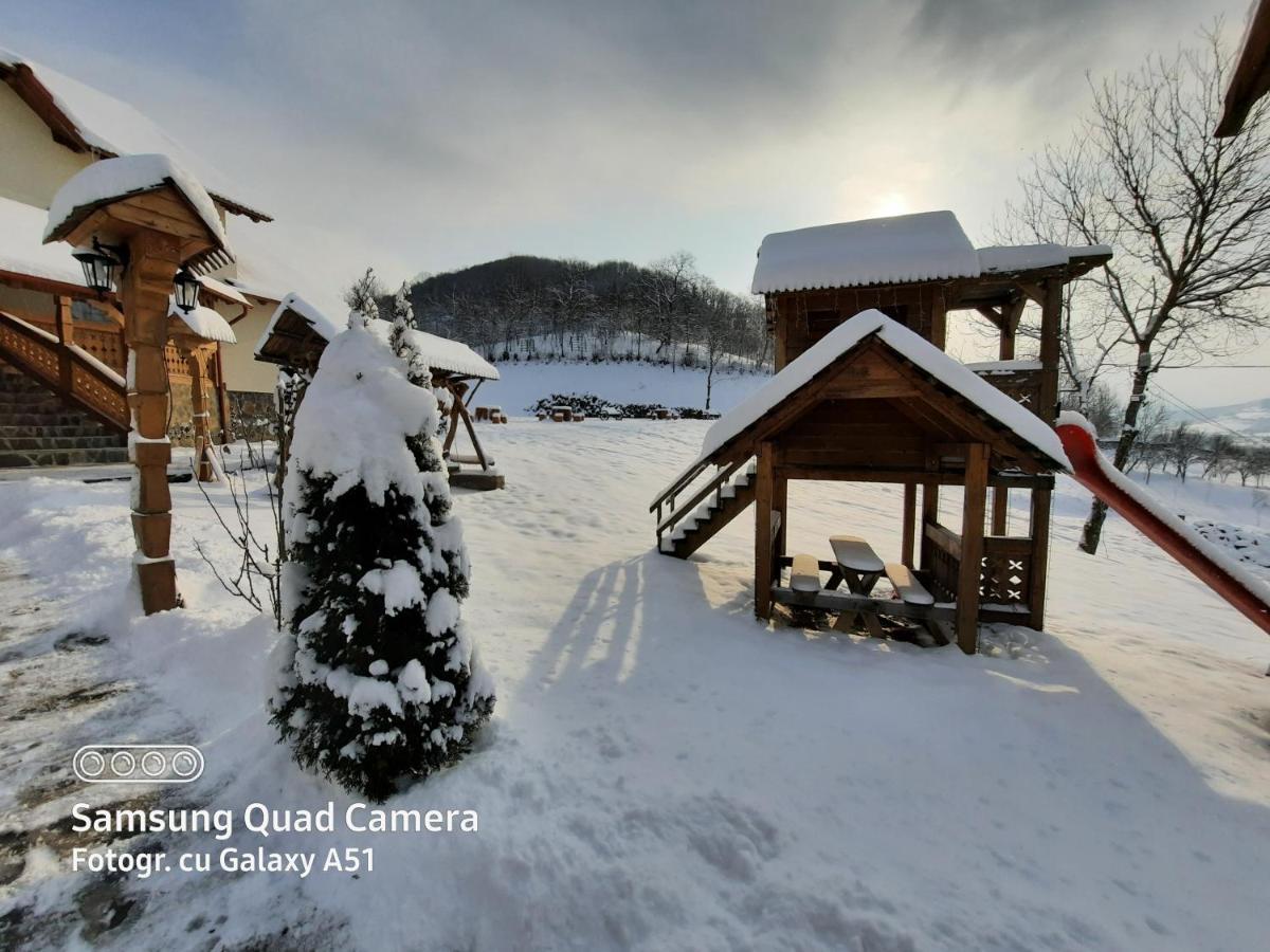 Pensiunea Valea Branzei Nanesti Bagian luar foto