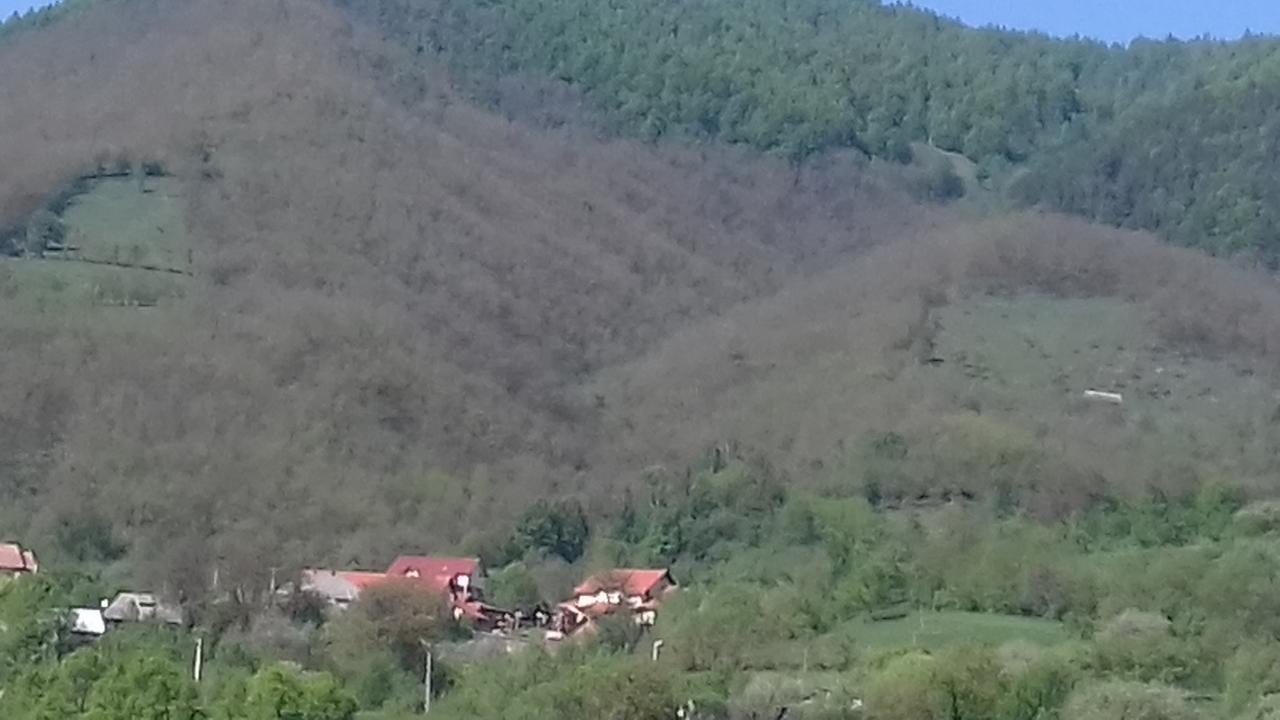 Pensiunea Valea Branzei Nanesti Bagian luar foto